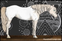 Horse Color:Perlino Appaloosa 