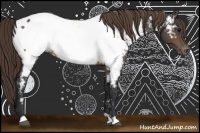 Horse Color:Buckskin Near Fewspot 
