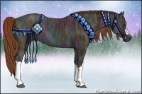 Horse Color:Midnight Chestnut Ice Appaloosa 