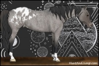 Horse Color:Blue Roan Blanket 