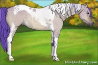 Horse Color:Watercolor Bay Dun Tobiano 