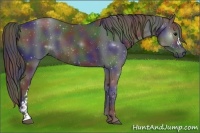 Horse Color:Nacre Black 