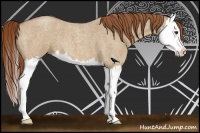 Horse Color:Red Dun Roan Splash 