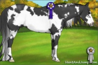 Horse Color:White Spotted Smoky Black Frame 