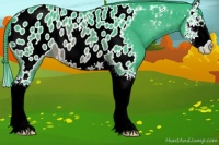 Horse Color:Watercolor Brown Splash Appaloosa 