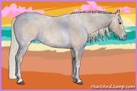 Horse Color:Palomino Ice Roan Splash