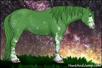 Horse Color:Watercolor Black Sabino 