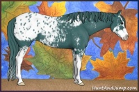 Horse Color:Watercolor Black Sabino Splash Appaloosa 