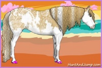 Horse Color:Watercolor White Spotted Chestnut Splash