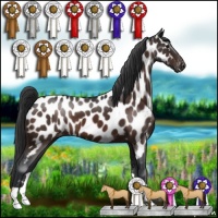 Horse Color:Brown Near Leopard