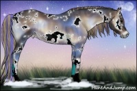 Horse Color:Painted White Spotted Bay Onyx