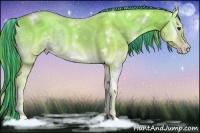 Horse Color:Painted Watercolor White Spotted Gold Champagne Onyx