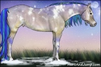 Horse Color:Painted Watercolor White Spotted Brown Onyx 