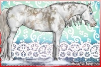 Horse Color:Liver Chestnut Sabino Splash 