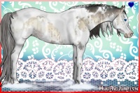Horse Color:White Spotted Liver Red Onyx Ice Splash Tobiano 