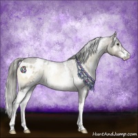 Horse Color:White Spotted Liver Red Onyx Mushroom Sabino 