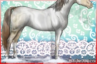 Horse Color:White Spotted Liver Red Dun Ice Pearl 