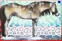 Horse Color:White Spotted Liver Red Onyx Tobiano Rabicano