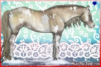 Horse Color:White Spotted Liver Red Onyx Pearl Rabicano 