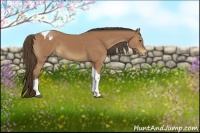 Horse Color:Buckskin Tobiano Varnish