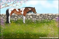 Horse Color:Brown Tobiano 