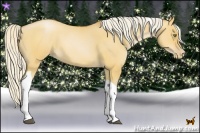Horse Color:Silver Bay Pearl Dun Tobiano 
