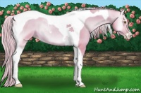Horse Color:Watercolor Gold Cream Champagne Onyx Sabino Tobiano 