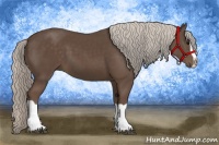 Horse Color:Silver Black Splash