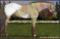 Horse Color:Nacre Liver Red Dun Snowcap 