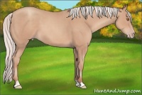 Horse Color:Silver Classic Champagne 