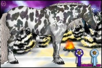 Horse Color:White Spotted Midnight Chocolate Silver Brown Ice Pearl Onyx Sabino Appaloosa 