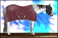 Horse Color:Liver Chestnut Tobiano Blanket 