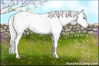 Horse Color:Gray Chestnut 