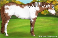 Horse Color:Chestnut Frame