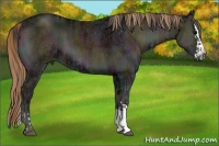 Horse Color:Midnight Bay Ice Onyx Splash Brindle and Midnight Liver Red Onyx Ice Brindle