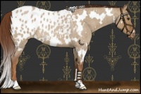 Horse Color:White Spotted Red Dun Roan Varnish 
