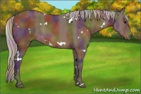 Horse Color:Nacre White Spotted Silver Brown 