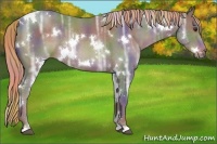Horse Color:Nacre White Spotted Liver Chestnut Ice 