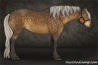 Horse Color:Silver Buckskin Sabino 