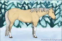 Horse Color:Silver Buckskin Tobiano