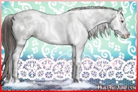 Horse Color:White Spotted Liver Chestnut Ice Sabino Splash 