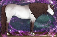 Horse Color:Chocolate Brown Chinchilla 