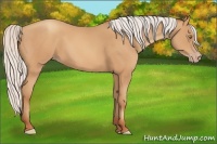 Horse Color:Silver Amber Champagne Frame 