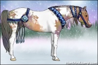 Horse Color:Nacre Bay Dun Tobiano 