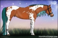Horse Color:Painted Bay Tobiano