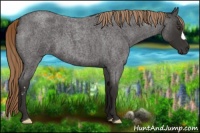 Horse Color:Liver Red Roan Frame 