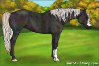 Horse Color:Midnight Silver Black Ice