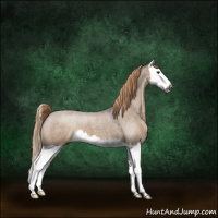 Horse Color:Gray Liver Red Dun Roan Splash Varnish 
