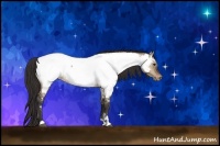 Horse Color:Bay Roan Dun Appaloosa