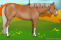Horse Color:Silver Bay 
